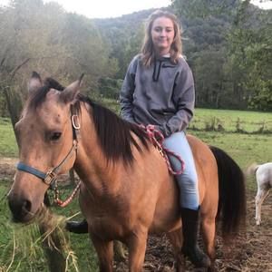 Meet your Posher, Bailey